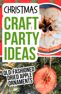 dried apples for old-fashioned Christmas crafts for Christmas craft party ideas