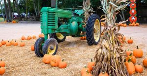 cheap fall festival ideas for kids carnival - fall decorations, pumpkins, and carnival games with a tractor